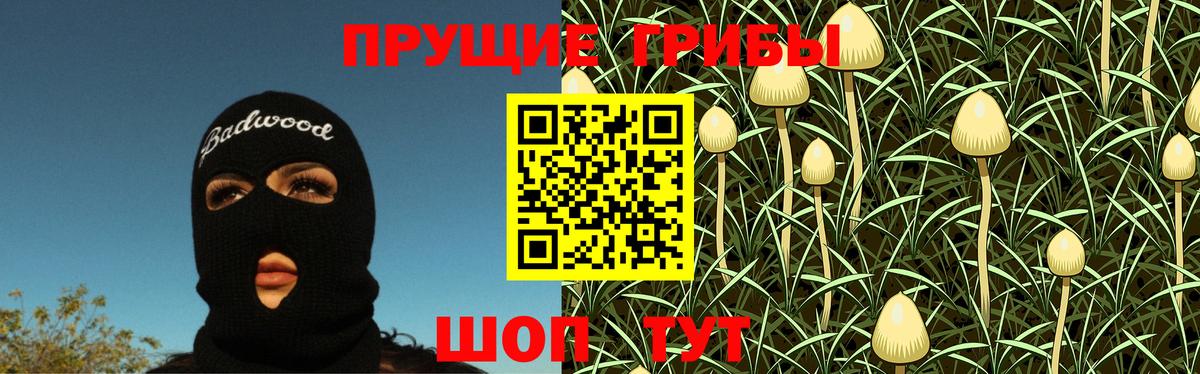 Галлюциногенные грибы Cubensis  Вход с VPN  Великие Луки 